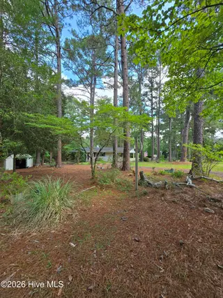 103 Edinburgh Drive, Carthage, NC 28327 — 3-bedroom home in Dundee Estates, Carthage, NC, photo 11 of 36
