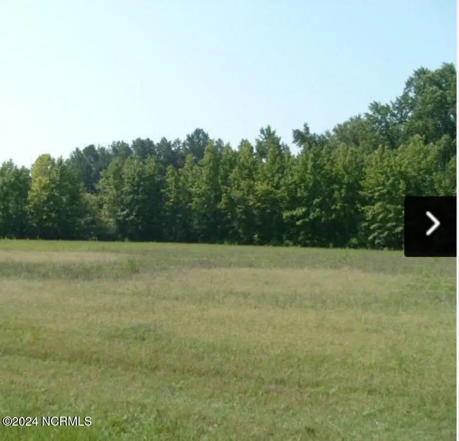 0 Nicodemus Mile Road, Rocky Mount, NC 27804 – photo 1 of 2: 1000024488