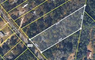 3480 Blue Banks Loop Road NE, Leland, NC 28451 – photo 3