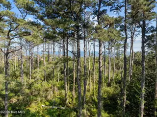 1369 Army Camp Road, Davis, NC 28524 – photo 3: 15-web-or-mls-Army Camp Rd 014 copy