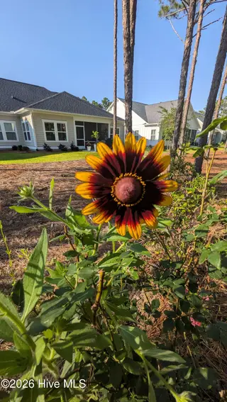 6881 Beckman Circle SW, Ocean Isle Beach, NC 28469 – photo 22