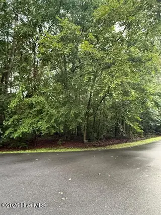 1542 Green Meadow Lane, Rocky Mount, NC 27804 – photo 2: Street view
