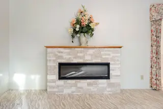 96 Deerwood Lane, Pinehurst, NC 28374 – photo 11: Primary Fireplace