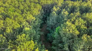0 Pendergrass Drive, Princeton, NC 27569 – photo 8: 13-Quarterhorse Rd-13