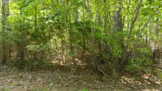 106 Shropshire Lane, Seven Lakes, NC 27376 – photo 3: 2-web-or-mls-DJI_20260504143620_0081_D