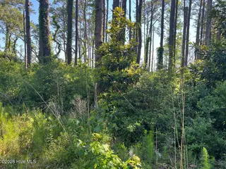 570 5 6 7 Highway 70, Smyrna, NC 28579 – photo 4: 560-3