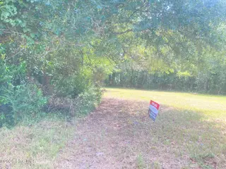 Lincoln Park, Farmville – photo 4: IMG_6320