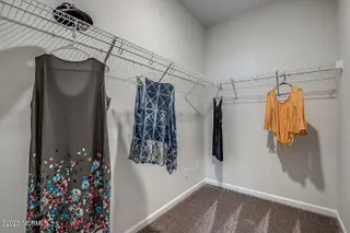 468 Goldenrod Terrace Lot 60, Calabash, NC 28467 – photo 23: 22-Primary-Closet---Dorchester