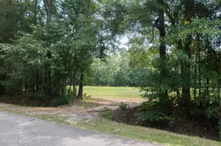 1416 Wheeler Street, Whiteville, NC 28472 – photo 3: Driveway Entry