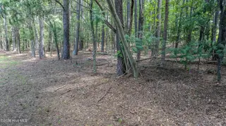 000 1.75AS Antioch Church Road, Middlesex, NC 27557 – photo 11: 000-Woods2