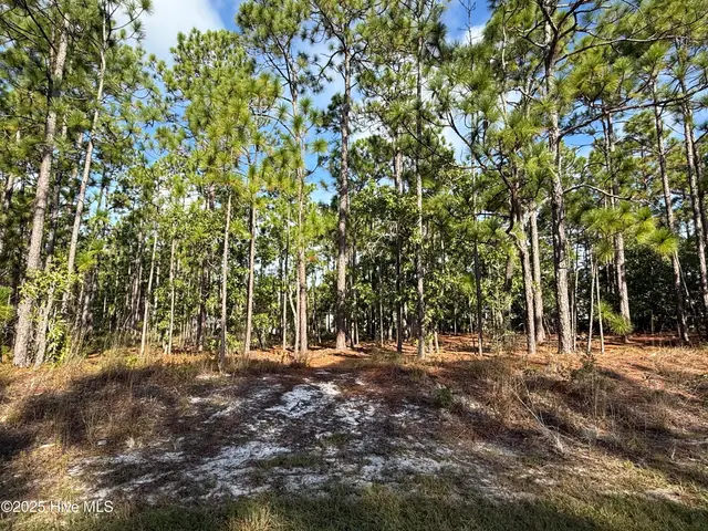 585 258 Westwood Road, Southport, NC 28461