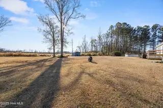 3805 Bell Williams Road, Currie, NC 28435 – photo 18: 47_backyard