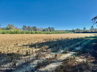 0 Near 4294 James B Wh, Whiteville, NC 28472 – photo 3: IMG_2767
