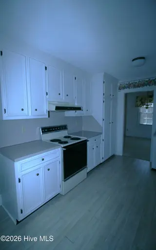 1313 Rondo Drive, Greenville, NC 27858 – photo 11: Tons of Kitchen Storage