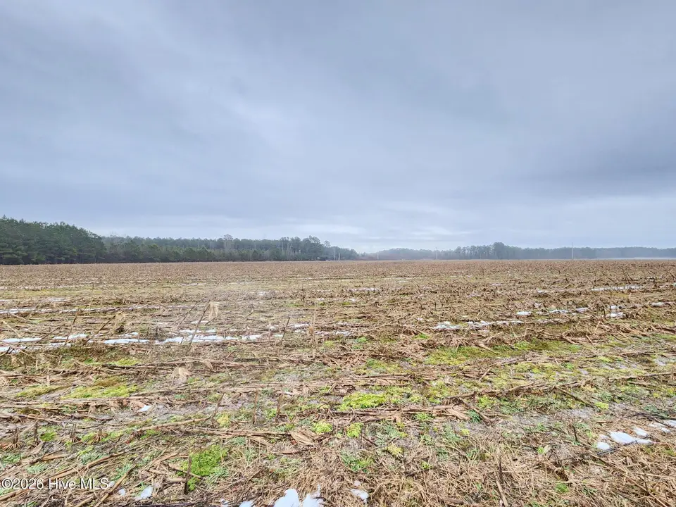 Tbd Ramsey Ford Road, Tabor City, NC 28463 – photo 1 of 13: 3
