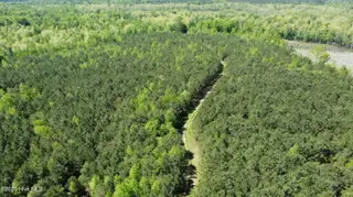Off Speights Chapel Road, Whitakers, NC 27891 – photo 10: DJI_0579