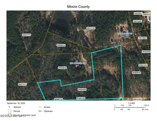 Lot 8 Flowers Road, Jackson Springs, NC 27281 – photo 2: Flowers Rd._10.51acre_9849
