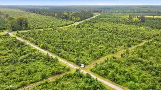795 Pollard Swamp Road, Vanceboro, NC 28586 – photo 16: 16-print-DJI_0313 - edited
