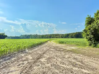 Off Swamp Fox Hwy Highway E, Tabor City, NC 28463 – photo 24: Copy of 19