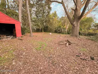 907 E Walnut Street, Goldsboro, NC 27530 – photo 15: 20. Back yard