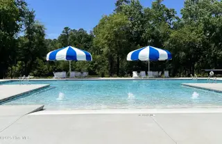 230 Pretty Run Branch Lane, Wendell, NC 27591 – photo 9: Maggie Way Amenity 1