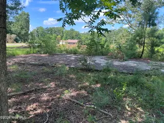 2644 Spies Road, Robbins, NC 27325 – photo 12: IMG_2304
