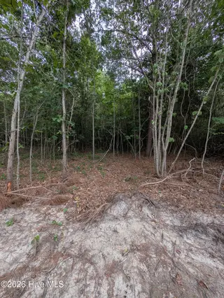 Tbd 2R-3 Peyton Drive, Eagle Springs, NC 27242 – photo 7: PXL_20260707_210736380