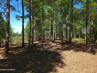 6 Ashton Drive, Bath, NC 27808 – photo 11: 20220818_134823