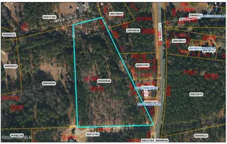 Lot 9 Flowers Road, Jackson Springs, NC 27281 – photo 3: Lot 9 Flowers Rd_9848_2