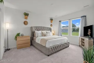 3023 Winding Ridge Drive W, Wilson, NC 27893 – photo 6: primary bedroom new dedsign