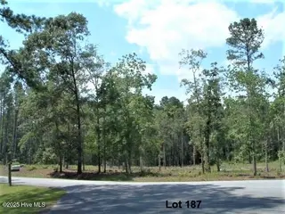 607 Pamlico River Drive, Washington, NC 27889 – photo 7: Homesite