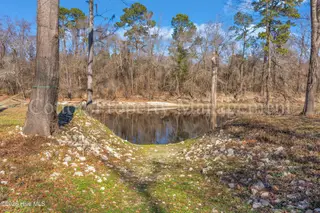 2621 Croomsbridge Road, Burgaw, NC 28425 – photo 20: 2621 croomsbridge rd 00020