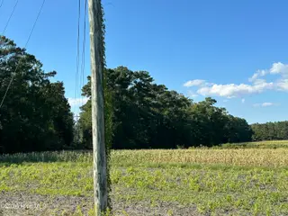 000 Willis Farm Tract-2 Road, Newport, NC 28570 — lot, Newport, NC, photo 2 of 5: IMG_0053