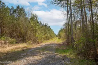 0 Nc-903, Stokes, NC 27884 – photo 8: Stokes Tract 3
