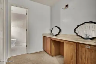 3919 Appleton Way, Wilmington, NC 28412 – photo 22: Primary Bathroom