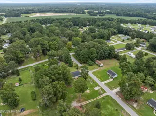 1118 Newsome Street, Tarboro, NC 27886 – photo 10: 10-web-or-mls-DJI_0369