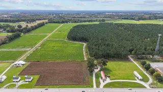 215 Nc 43 Hwy, Vanceboro, NC 28586 – photo 5: 5-web-or-mls-DJI_20241009143936_0334_D