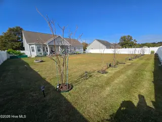 412 Moss Springs Drive, Peletier, NC 28584 – photo 23: backyard