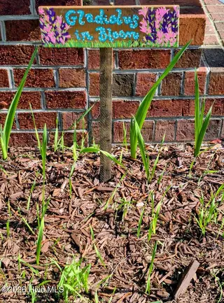 105 Willowbrook Drive, Pikeville, NC 27863 – photo 21: Flowers in Bloom