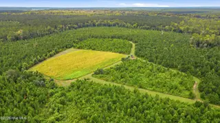 795 Pollard Swamp Road, Vanceboro, NC 28586 – photo 12: 12-print-DJI_0304 - edited