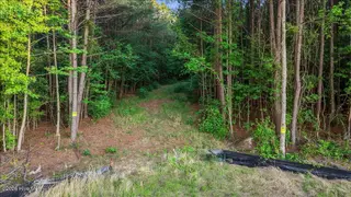 0 Pendergrass Drive, Princeton, NC 27569 – photo 7: 12-Quarterhorse Rd-12