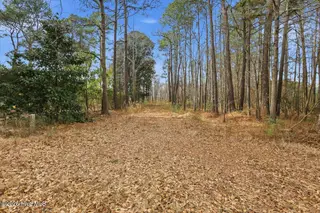 00 E Fayetteville Street, Micro, NC 27555 – photo 8: 19-E Fatetteville St-19