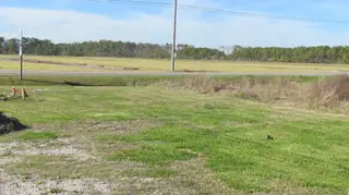 3336 Highway 70 E, Beaufort, NC 28516 – photo 5: IMG_5210