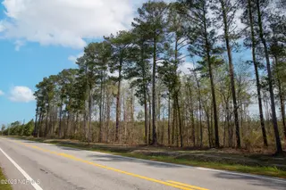 0 Nc-903, Stokes, NC 27884 – photo 18: Stokes Tract 2