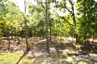 1035 Mill Road, Jackson Springs, NC 27281 – photo 2: Mill Road