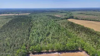 0 7 Guinea Mill Road, Ernul, NC 28527 – photo 8: 8