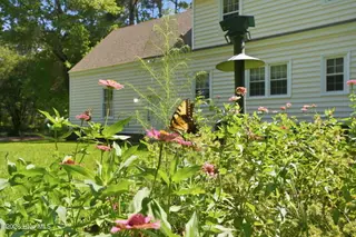 1404 Canterbury Road, Tarboro, NC 27886 – photo 12: 55-web-or-mls-DSC09996