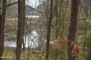 18 Bridgewater Drive S, Bath, NC 27808 – photo 10: Waterview of Creek
