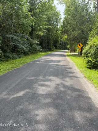 1185 1 Green Springs Road, New Bern, NC 28560 – photo 2: street view
