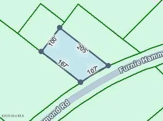 0000 Near 855 Furnie Hamm Road, Clarendon, NC 28432 – photo 3: 015373LotSize